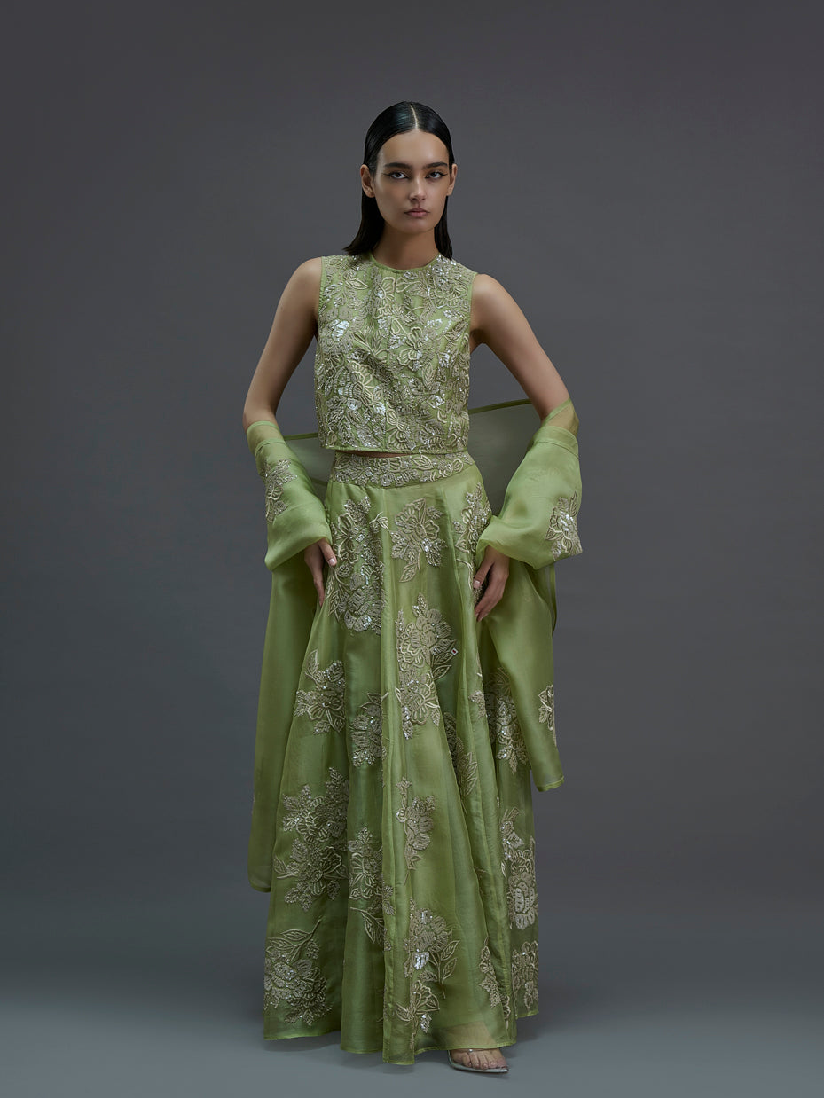 Grass Hand Sequined Flat Stitch Dupatta