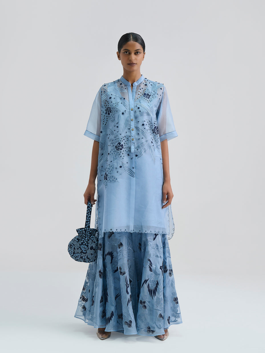 Steel Bird Motif Sharara