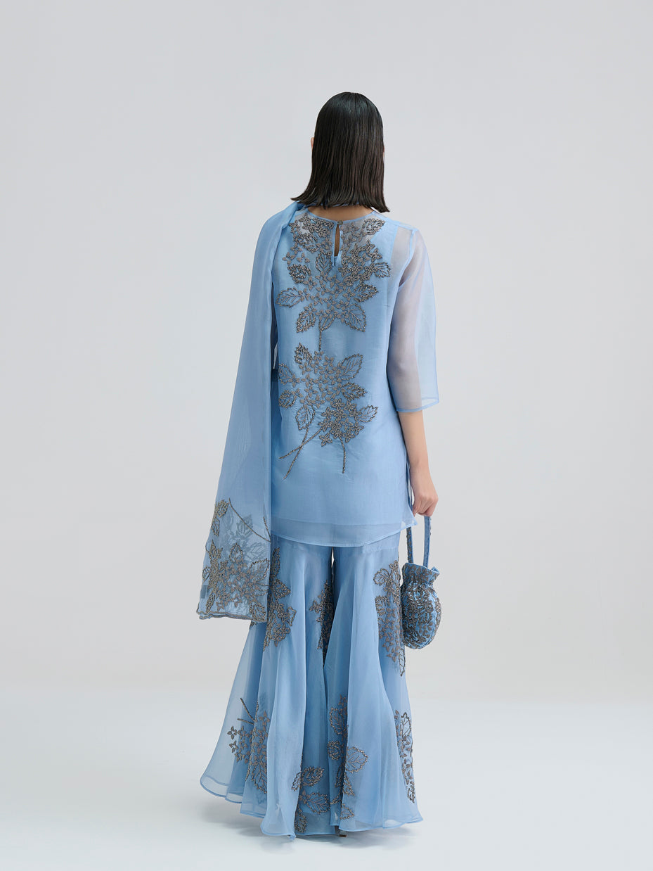 Steel Hand Beaded Dupatta