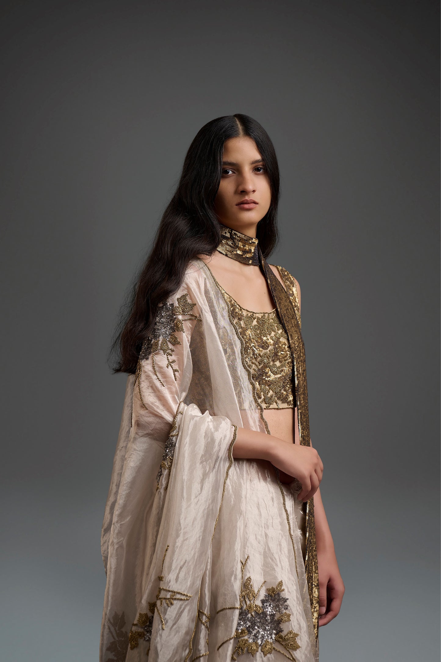 Pani Hand Sequined Hand Beaded Sari