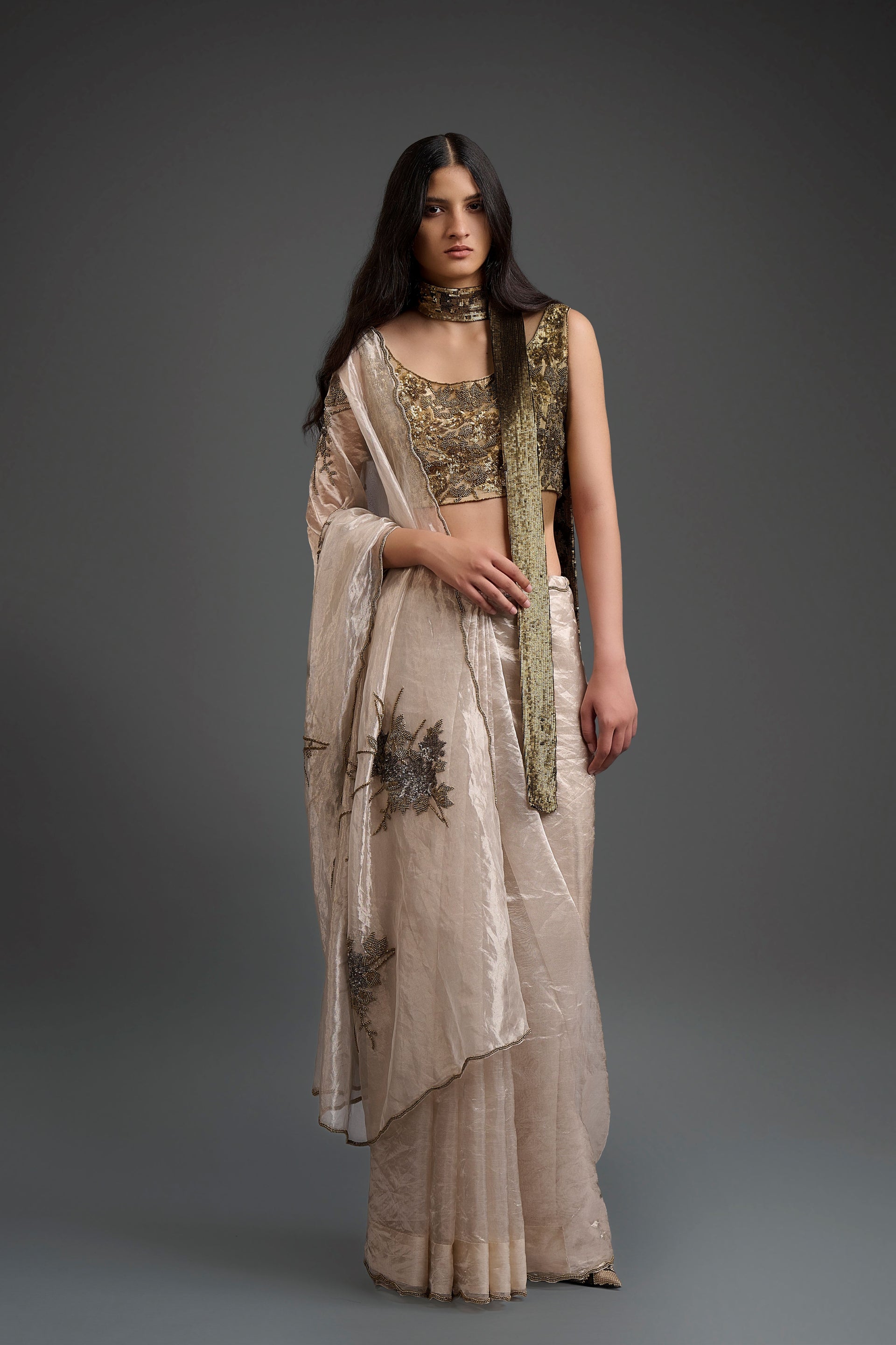 Pani Hand Sequined Hand Beaded Sari
