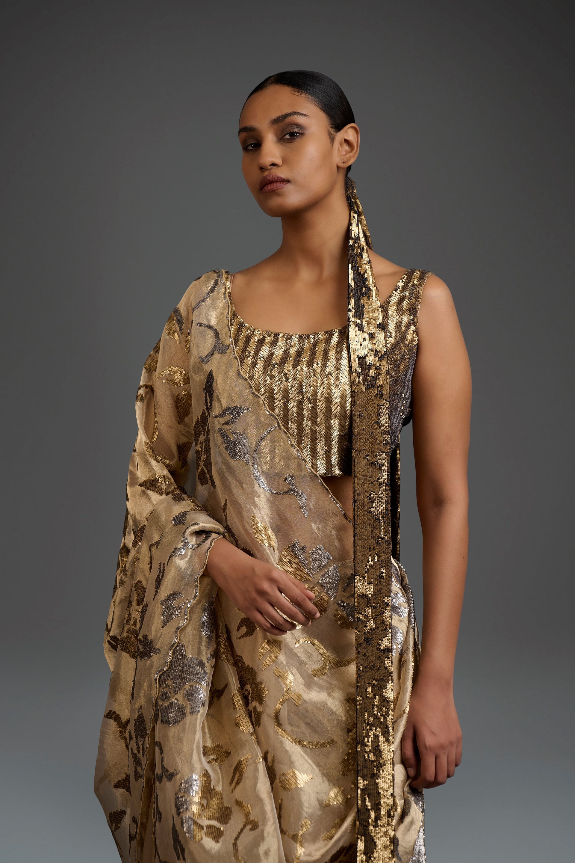 Gold Hand Sequined Sari